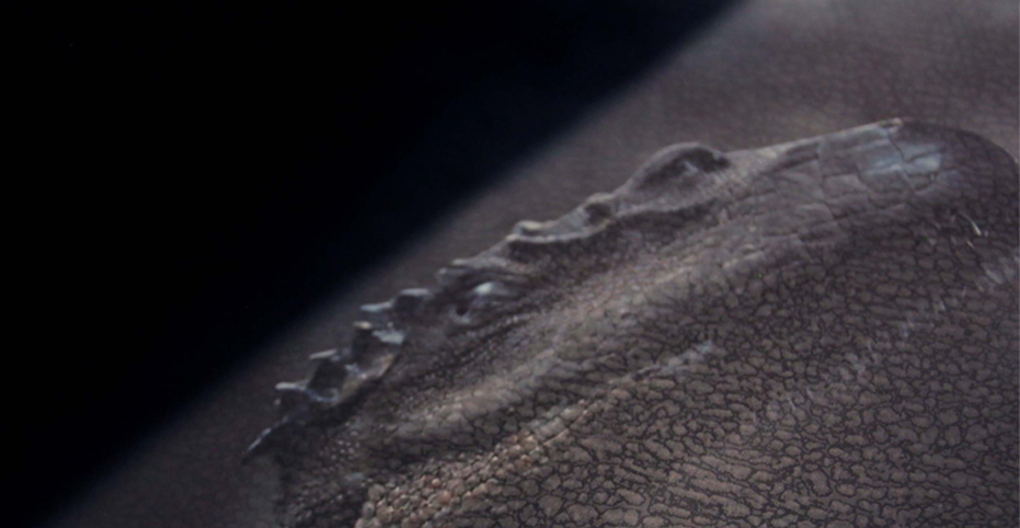 slider-image-5
